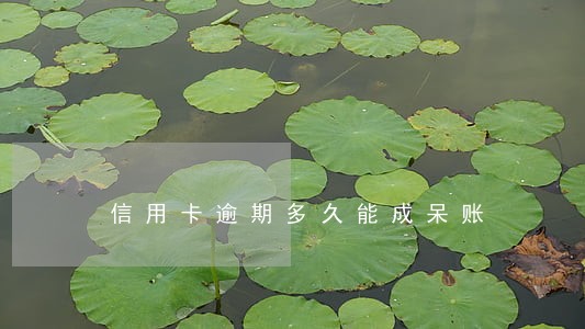 信用卡逾期多久能成呆账 信用卡逾期多久能成呆账