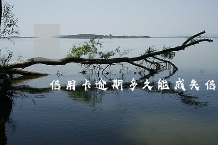 信用卡逾期多久能成失信人 信用卡逾期多久能成失信人