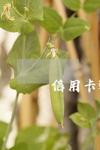 信用卡逾期多久能找回 信用卡逾期多久能找回