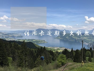 信用卡逾期多久能撤销 信用卡逾期多久能撤销