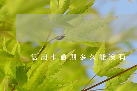 信用卡逾期多久能没有