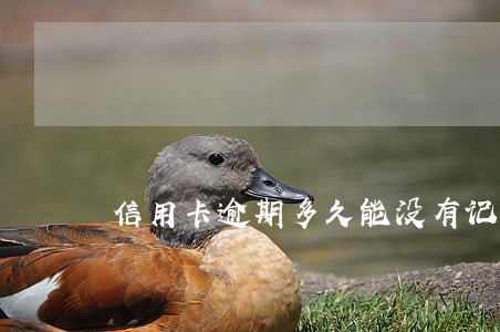 信用卡逾期多久能没有记录