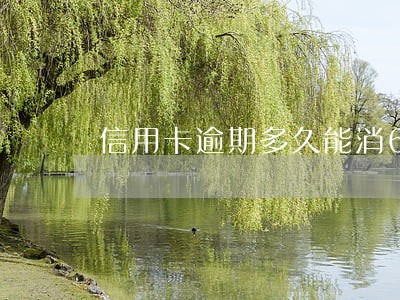 信用卡逾期多久能消6 信用卡逾期多久能消6