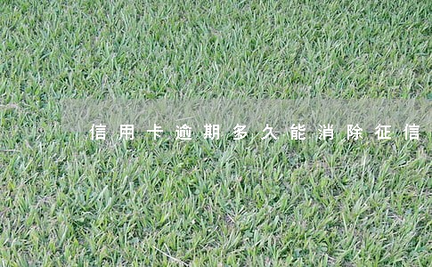 信用卡逾期多久能消除征信不良 信用卡逾期多久能消除征信不良