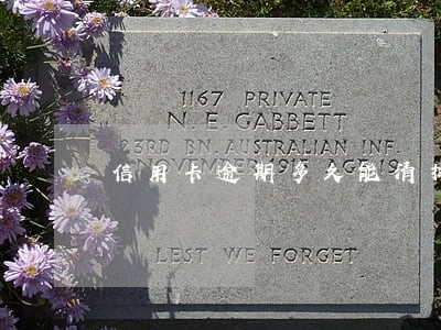 信用卡逾期多久能清掉 信用卡逾期多久能清掉