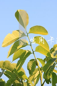 信用卡逾期多久能用公积金贷款 信用卡逾期多久能用公积金贷款