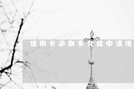 信用卡逾期多久能申请信用卡 信用卡逾期多久能申请信用卡
