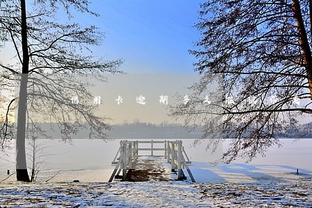 信用卡逾期多久能被带走 信用卡逾期多久能被带走