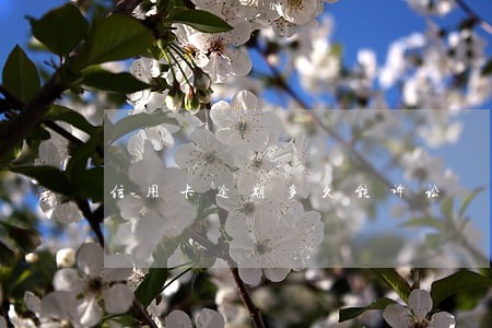信用卡逾期多久能诉讼 信用卡逾期多久能诉讼