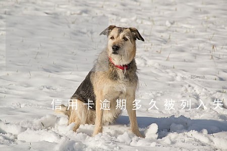 信用卡逾期多久被列入失信 信用卡逾期多久被列入失信
