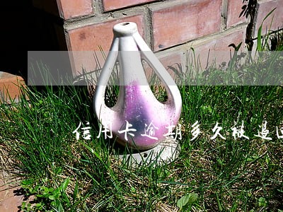 信用卡逾期多久被退回 信用卡逾期多久被退回
