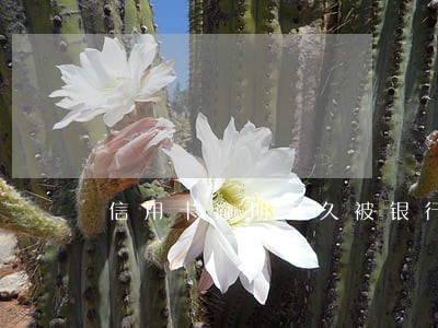 信用卡逾期多久被银行诉讼