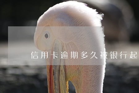 信用卡逾期多久被银行起诉 信用卡逾期多久被银行起诉