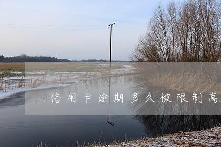 信用卡逾期多久被限制高消费 信用卡逾期多久被限制高消费
