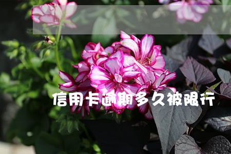 信用卡逾期多久被限行 信用卡逾期多久被限行