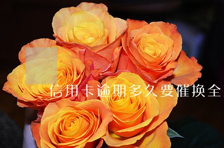 信用卡逾期多久要催换全款 信用卡逾期多久要催换全款