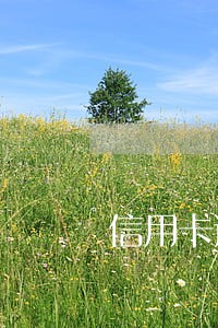 信用卡逾期多久解决 信用卡逾期多久解决