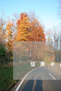 信用卡逾期多久警察