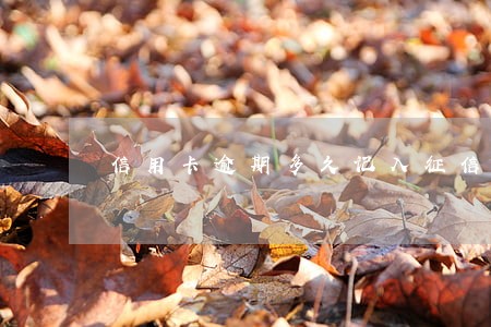 信用卡逾期多久记入征信 信用卡逾期多久记入征信