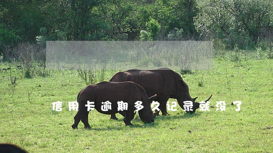 信用卡逾期多久记录就没了 信用卡逾期多久记录就没了