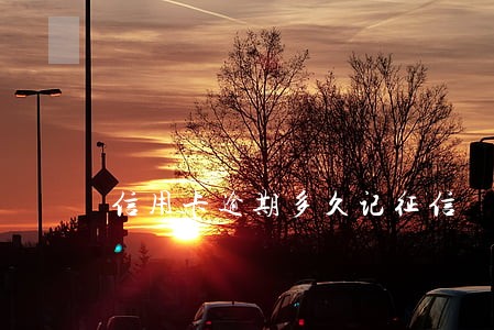 信用卡逾期多久记征信 信用卡逾期多久记征信