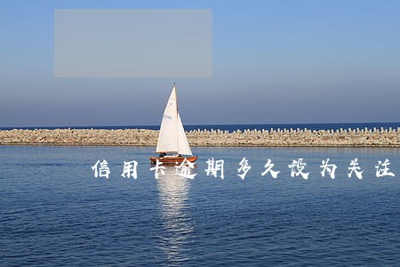 信用卡逾期多久设为关注类 信用卡逾期多久设为关注类