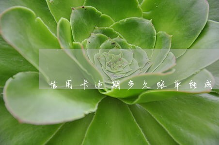 信用卡逾期多久账单能成坏帐 信用卡逾期多久账单能成坏帐