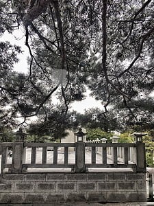 信用卡逾期多久费用 信用卡逾期多久费用