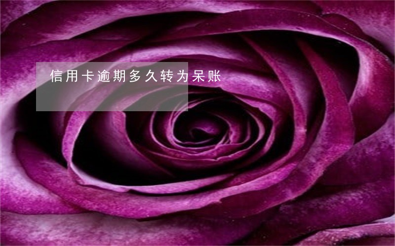 信用卡逾期多久转为呆账 信用卡逾期多久转为呆账