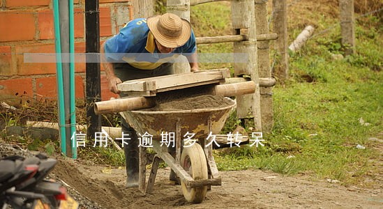 信用卡逾期多久转呆 信用卡逾期多久转呆