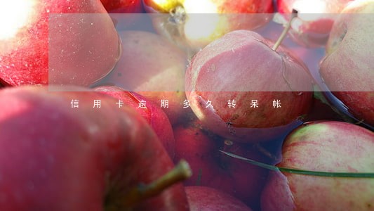信用卡逾期多久转呆帐