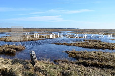 信用卡逾期多久还不影响征信 信用卡逾期多久还不影响征信