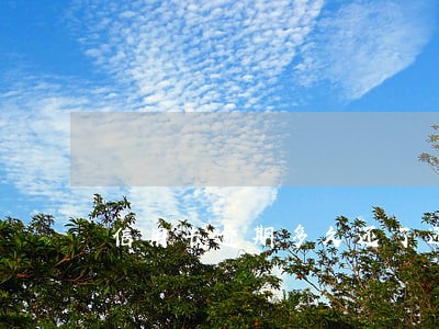 信用卡逾期多久还了还可以用 信用卡逾期多久还了还可以用