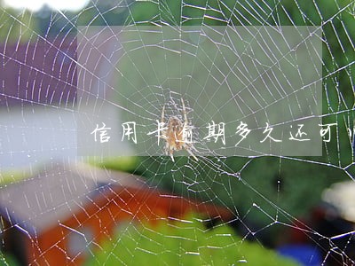 信用卡逾期多久还可以用啊 信用卡逾期多久还可以用啊