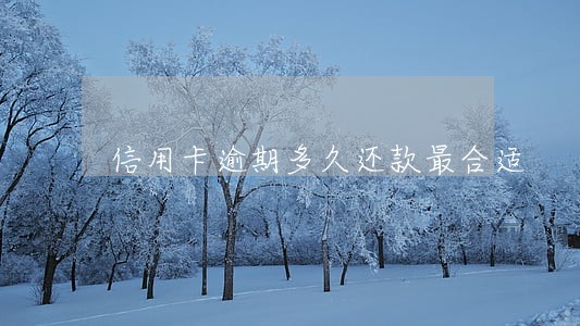 信用卡逾期多久还款最合适 信用卡逾期多久还款最合适