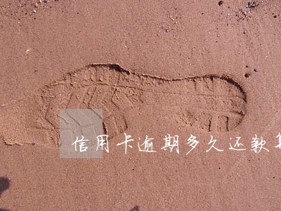 信用卡逾期多久还款算黑户