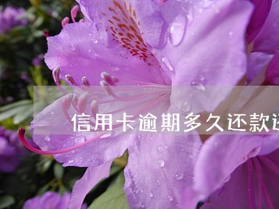 信用卡逾期多久还款还完还能用吗