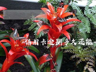 信用卡逾期多久还能办理信用卡吗 信用卡逾期多久还能办理信用卡吗