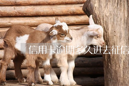 信用卡逾期多久进去征信记录 信用卡逾期多久进去征信记录