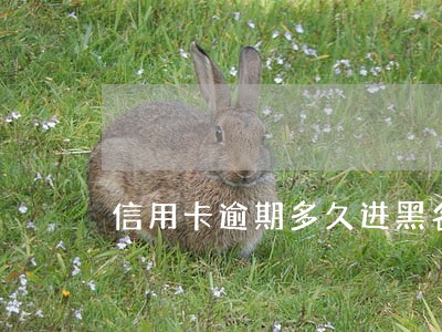 信用卡逾期多久进黑名单 信用卡逾期多久进黑名单