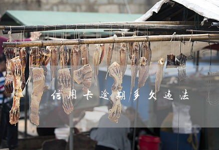 信用卡逾期多久违法 信用卡逾期多久违法