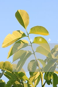 信用卡逾期多久送快递