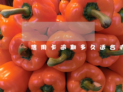 信用卡逾期多久适合办个性化分期 信用卡逾期多久适合办个性化分期