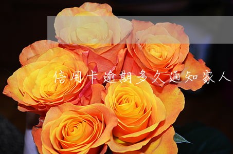 信用卡逾期多久通知家人吗 信用卡逾期多久通知家人吗