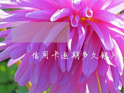 信用卡逾期多久银行上门要账 信用卡逾期多久银行上门要账