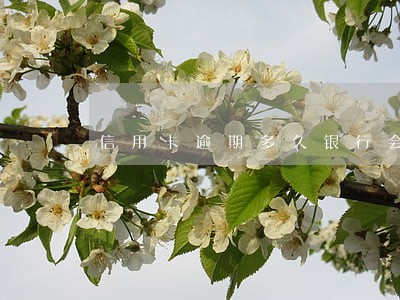 信用卡逾期多久银行会主动找你协商 信用卡逾期多久银行会主动找你协商
