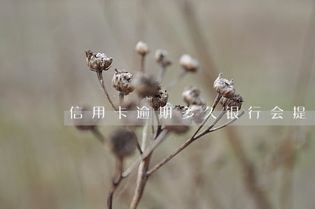 信用卡逾期多久银行会提醒 信用卡逾期多久银行会提醒