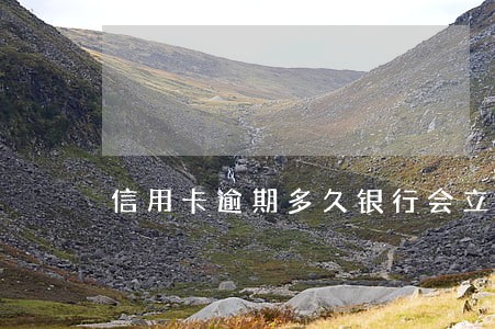 信用卡逾期多久银行会立案处理