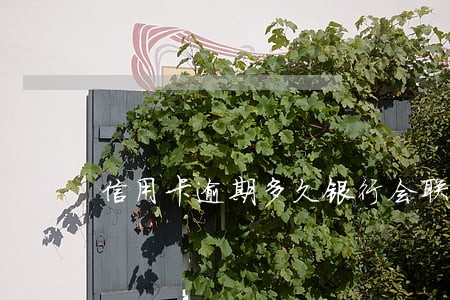 信用卡逾期多久银行会联系你 信用卡逾期多久银行会联系你