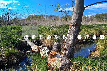 信用卡逾期多久银行会跟你协商